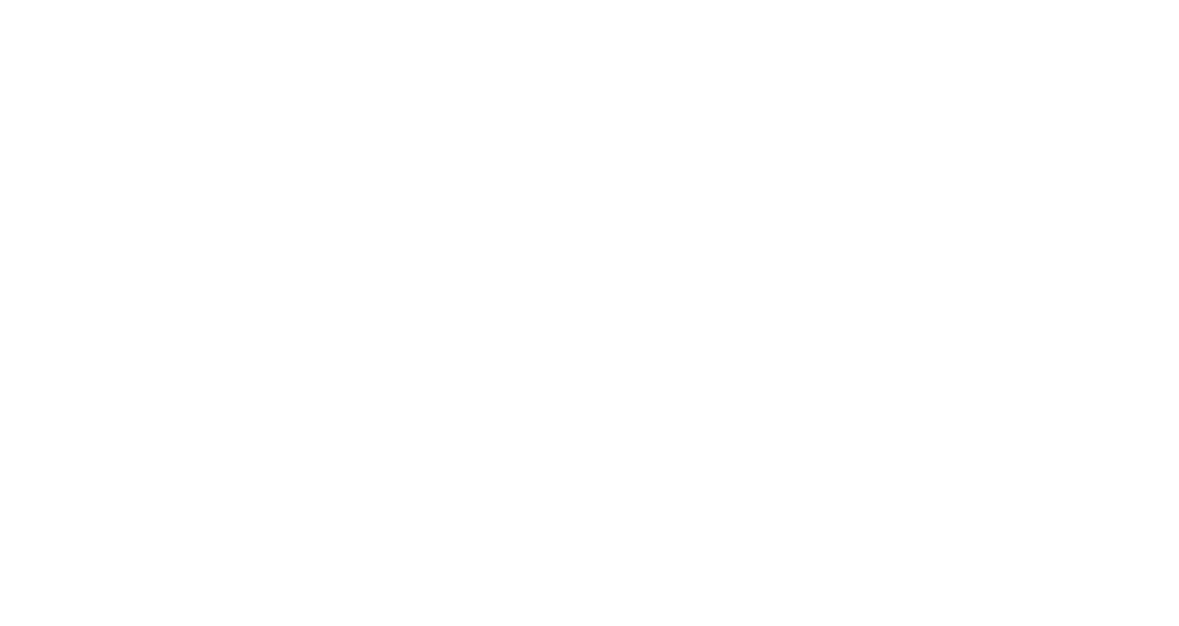 Experts from top animation studios